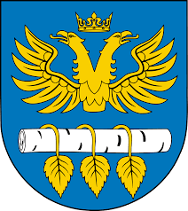 brzozowski.png