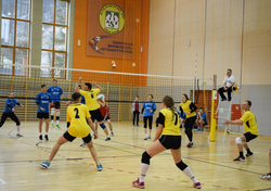 Noworoczny Turniej Siatkówki